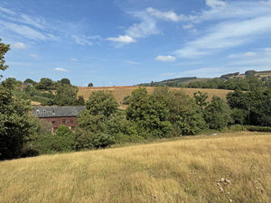 Paddock- click for photo gallery